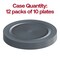 Matte Charcoal Gray Round Disposable Plastic Appetizer/Salad Plates - 7.5" (120 Plates)